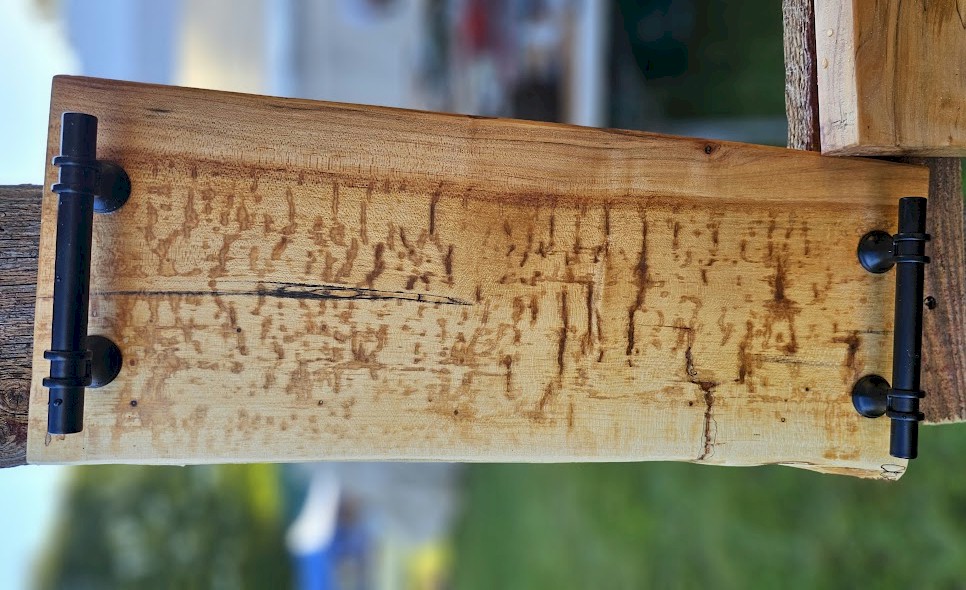 Spalted Sugar Maple Charcuterie Board 11